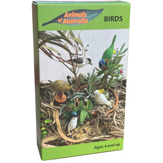 Australian Birds in a Box | Curious Kids Toy Lab